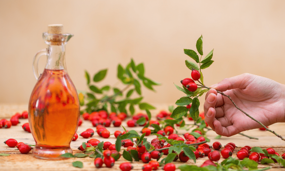 Rosehip Seed Oil